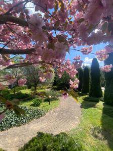 比亚韦斯托克瓦恰米切赫酒店的花园种有粉红色樱桃树,还有一条小径