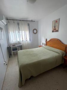 托雷德尔马尔Hostal Mediterraneo的一间卧室配有一张带绿毯的大床