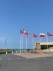 库尔瑟勒·苏尔·梅尔Le cosy的一组旗帜在靠近海洋的杆上