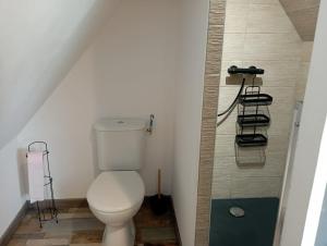 普勒比扬Gîte avec son bain nordique privatif au feu de bois的浴室配有白色卫生间和淋浴。