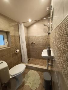 鲍洛通塞派兹德橡树旅馆的浴室配有卫生间、盥洗盆和淋浴。