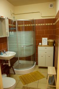 埃格尔Foxy Apartman的带淋浴、卫生间和盥洗盆的浴室