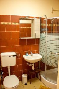 埃格尔Foxy Apartman的浴室配有卫生间、盥洗盆和淋浴。