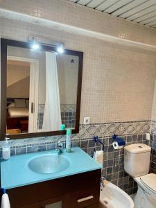 马德里Acogedor Dúplex Barrio del Pilar的一间带水槽、卫生间和镜子的浴室