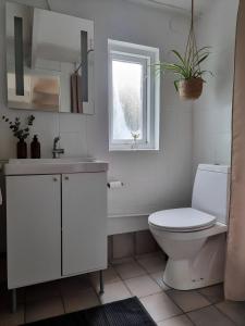 NibeCalm and idyllic surroundings in Northen Jutland的一间带卫生间、水槽和窗户的浴室