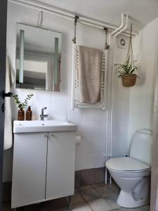 NibeCalm and idyllic surroundings in Northen Jutland的一间带水槽、卫生间和镜子的浴室