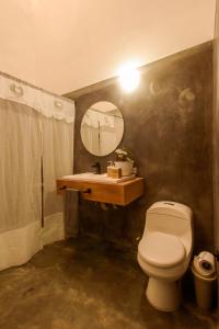 巴里查拉CASA JUANA BARICHARA的一间带卫生间、水槽和镜子的浴室