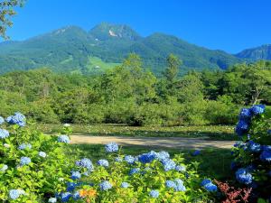 AkakuraRyokan Okayama的山 ⁇ 的花田