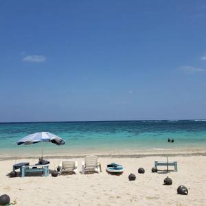Arazato宮古島ゲストハウス　マウイ的海滩上设有椅子和遮阳伞,大海