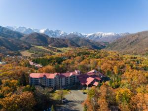 白马村东急白马度假酒店的享有度假村的空中景致,以山脉为背景