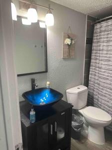 阿林顿Right next to AT&T Stadium Arlington - Luxury Unit的浴室配有蓝色水槽和卫生间。