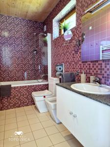 托波尔希卡Apartment DREN near terme Topolšica的浴室配有盥洗盆、卫生间和浴缸。