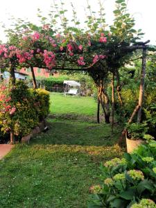 卢卡西莱斯特别墅酒店的一座花园,花园的凉棚上种着粉红色的花