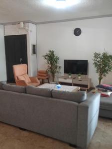 卡里塔CONDOMINIUM LIPPO PANTAI CARITA的客厅配有灰色的沙发和电视