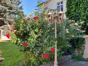 黑灵斯多夫Villa Dorothea的红玫瑰和街灯花园