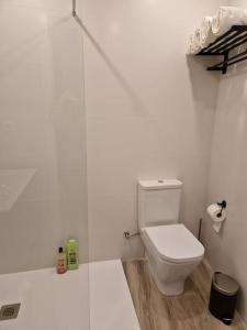 马德里Estudio céntrico zona palacio的白色的浴室设有卫生间和淋浴。