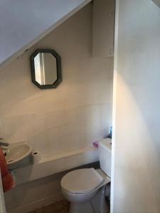 Oradour-FanaisGîte des Roses的一间带卫生间、水槽和镜子的浴室