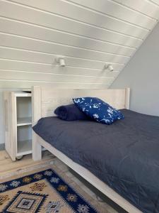SarnakiLeniwa Kolonia的床上有蓝色枕头