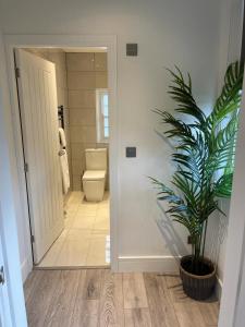 鲍特里Swan House - 5 x Executive Apartments - Central Bawtry的一间带卫生间和盆栽的浴室