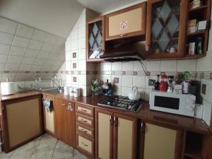 梅斯瓦科维采Willa Kolorowa Chata的厨房配有带微波炉的台面