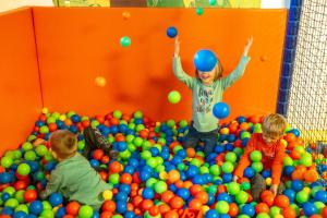 普雷瑟格尔塞阿尔盆亚德里亚酒店 的一群儿童在一堆球中玩耍