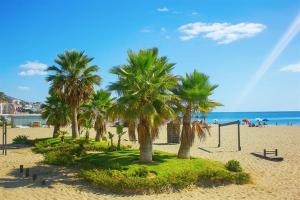 福恩吉罗拉Luxury Suite Fuengirola 1的棕榈树海滩和排球 ⁇ 