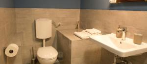 PrevaljeBlue in Green Apartment in Single Trail Park Jamnica的一间带卫生间和水槽的浴室
