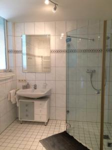 泰克伦堡DRIEHOF - LandGut & Residenz Hofapartment - Apt 10的浴室配有盥洗盆和带镜子的淋浴