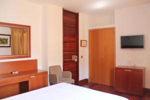 隆达阿希尼普酒店的一间卧室配有一张床、一张书桌和一台电视