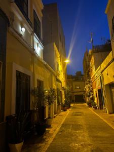 阿尔么丽亚Doña Josefina y Don Simón的夜间有楼房和盆栽的小巷