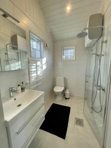 乌尔里瑟港Lyckan - Minihus i lantlig miljö的一间带水槽、淋浴和卫生间的浴室