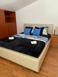 特罗吉尔Apartments Proxima的一张床上有蓝色枕头的睡床