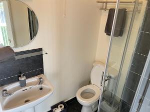 香农河畔卡里克Shannon Oasis的一间带卫生间、水槽和镜子的浴室