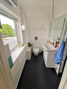 HylleholtSeaview的一间带卫生间、水槽和窗户的浴室
