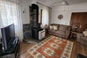 费特希耶Fethiye Üzümlüde havuzlu müstakil tatil villası的带沙发和壁炉的客厅