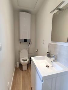 瓦朗西纳Résidence Jehan Froissart的白色的浴室设有卫生间和水槽。