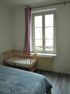 埃皮纳勒Sweethome-Epinal的一间卧室设有一张婴儿床和大窗户