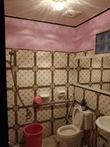阿拉米诺斯Leigh HomeStay的一间带卫生间和水槽的浴室