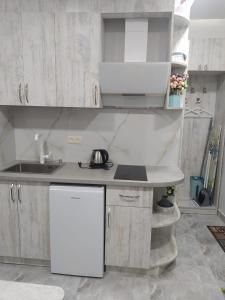 埃里温Apart hotel Alex的白色的厨房设有水槽和台面