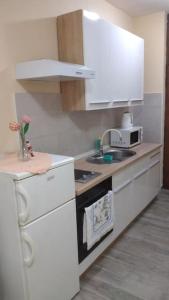 扎达尔Zadar charming studio的白色的厨房配有水槽和微波炉