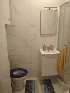 扎达尔Zadar charming studio的一间带卫生间、水槽和镜子的浴室