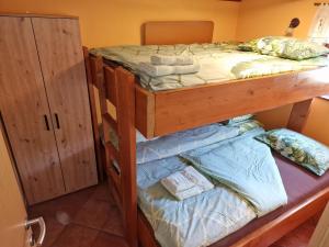 戈雷尼斯卡地区采尔克列Apartments Relax Jezerca的一间卧室配有两张双层床和一个衣柜