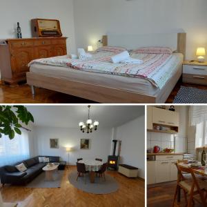 代尔尼采Apartman Tinče的一间卧室设有一张床和一间客厅。