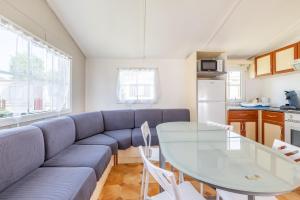 滨海努瓦耶勒Mobil Home Le Tokyo的客厅配有蓝色的沙发和桌子