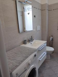 韦尔切利Appartamento Conte Verde的一间带洗衣机和水槽的浴室