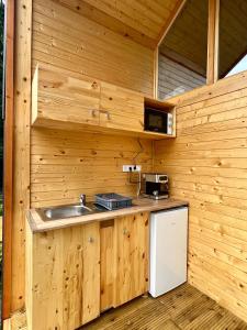 奥尔绍瓦Cabana Bahna 2的小木屋内的厨房设有水槽