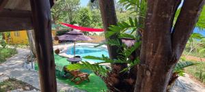 Wild Hippie Chang的享有带遮阳伞和椅子的游泳池的景色
