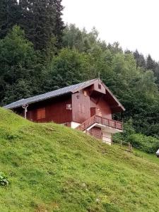 阿雷什L'appartement LES BOSSONS en lisière de forêt dans le chalet Génépi的绿色田野上山顶的房屋