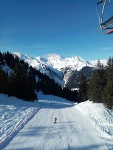 阿雷什L'appartement LES BOSSONS en lisière de forêt dans le chalet Génépi的一个人在雪覆盖的山里滑雪