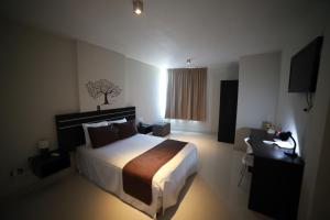 皮乌拉Suche Park Hotel的配有一张床、一张书桌和一扇窗户的酒店客房